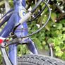Wiggins Characters 20 Image 7