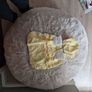 Dog raincoat Image 2