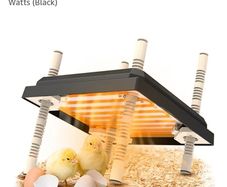 Brooder Heater For Chicks, Chick Brooder Heating Plate With Easy Clean Plate 10" X 10"Chick Brooder For 15 Chicks, Adjustable Height Brooder Heater 15 Watts