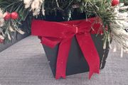 Small Christmas tree.