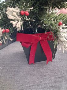 Small Christmas tree.