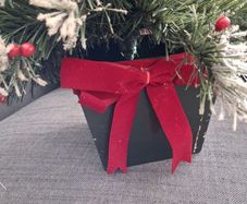 Small Christmas tree.