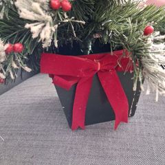 Small Christmas tree.