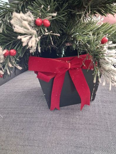 Small Christmas tree.