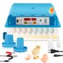 64 Eggs, Incubator with Automatic Egg Turning and LED Egg Lighting Image 4