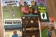 Minecraft Books