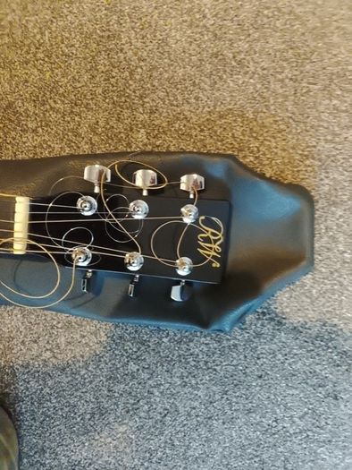Richwood guitar in perfect condition