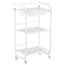 GP nurse station, Beauty spa trolley helper shelf Image 6