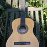 Herald HL 44 Guitar Image 10