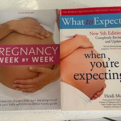 Pregnancy books