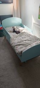 Toddler Bed