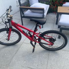 Ridgeback Dimension 20in Kids Bike