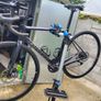 Giant TCR (2023) Image 2