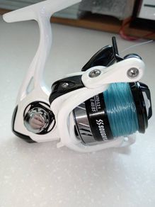 fishing reels