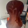 Antoni ACC35 Debut Cello - Full Size 4/4 - Solid Wood - Bow & Case Image 2