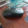 Mouse Image 3