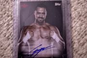 Wwe Autographed Cards