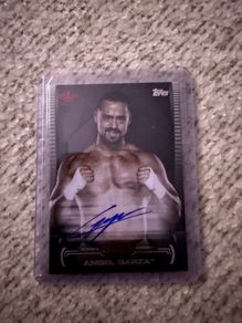 Wwe Autographed Cards