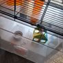 Bedside locker hamster cage Image 3