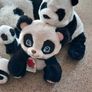 Panda bundle Image 3