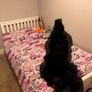 Single Bed Image 2