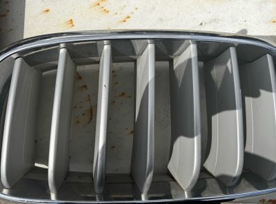 BMW Kidney Grille Set Genuine OEM