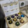 nespresso vertuo pop Image 5