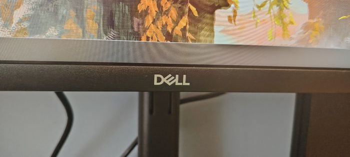 Dell 24-inch Monitor (E2424HS)