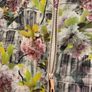 Ted Baker Window Blossom Cherry Dress - Size 2- UK 10 Image 4