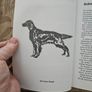 The Ropes. A History Of Irish Ropes Ltd 1933-1972. By Mary Ryan O'shea. First Edition Paperback In Good Condition.  See Photos For Same. Image 6
