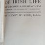 The Lighter Side of Irish Life Image 7