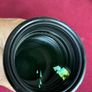sony 70-200  2.8 Gmaster 1 lens to swap for 70-200 G2 f4 macro Image 7