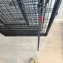 Puppy Pen - Heavy Duty crate Image 3