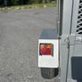 Dog / multi purpose trailer - Fully Restored! Image 3