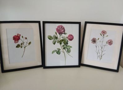 3 Framed Botanical Pages