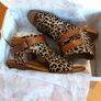 shoes Image 2