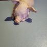 Pig ornament Image 4