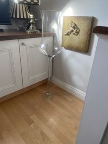 tall glass tulip