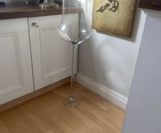 tall glass tulip