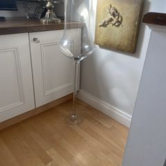 tall glass tulip