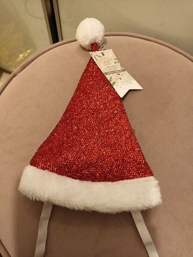 Festive pet hat