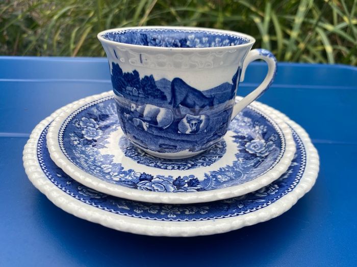 English Scenic Staffordshire Adam's England trio