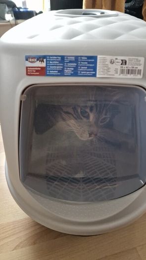 Cat Litter Box