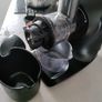 Ninja Cold Press Juicer JC100UK Image 5
