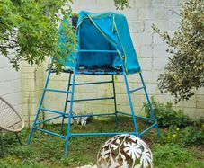 Tree House kids