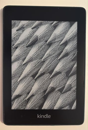 Kindle Paperwhite 10th Generation (8GB)  Great Condition