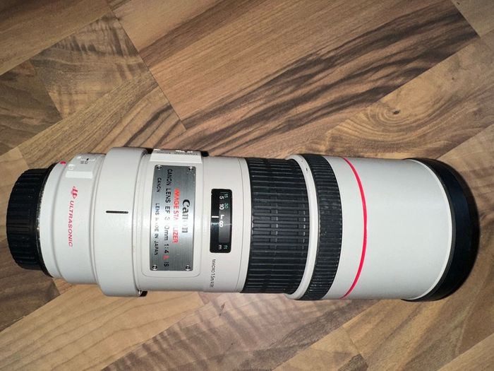 Canon Ef 300 F4 L Is Usm