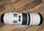 Canon Ef 300 F4 L Is Usm