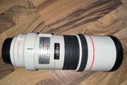 Canon Ef 300 F4 L Is Usm