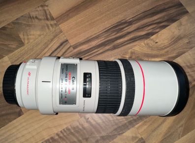 Canon Ef 300 F4 L Is Usm